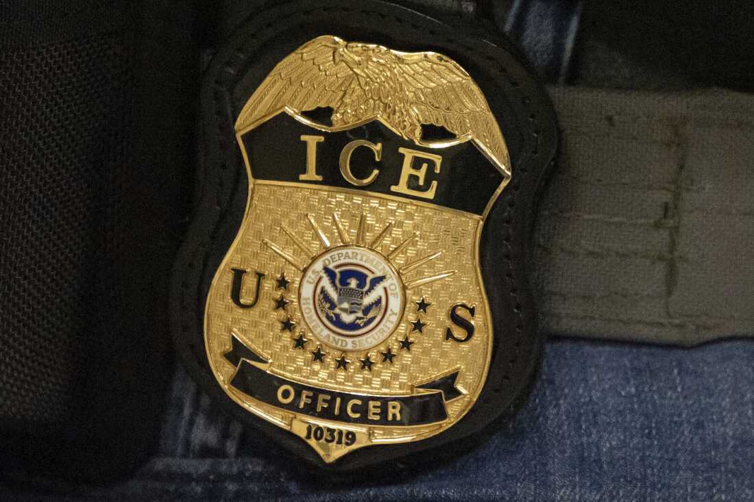 Allegations of Violence and Racism Emerge Against ICE Officer