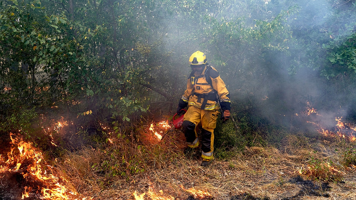 Massive Wildfires Devastate France and Spain Amid Record Heat Wave