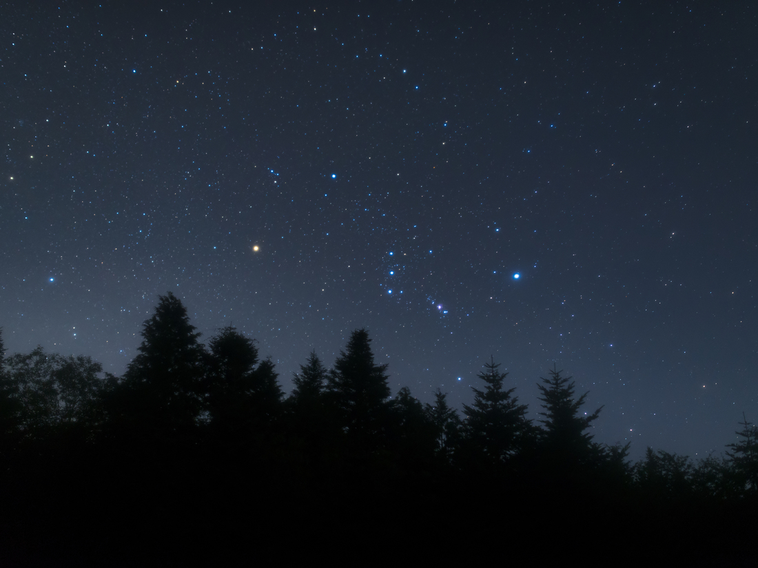 Exploring Orion, Betelgeuse, and the Lifecycle of Stars