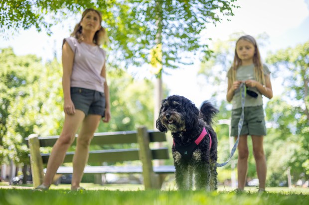 Illinois Tick Season Extends Due to Climate Change