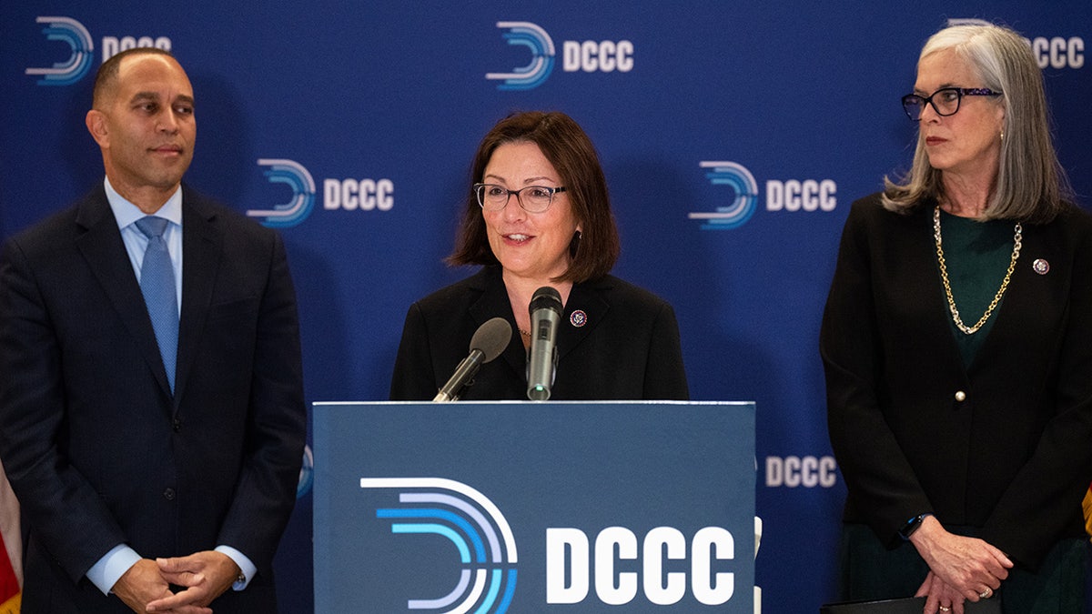 DNC Faces Financial Challenges Leading to Midterm Elections