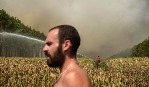 French Evacuees Return Home as Firefighters Tame Wildfire