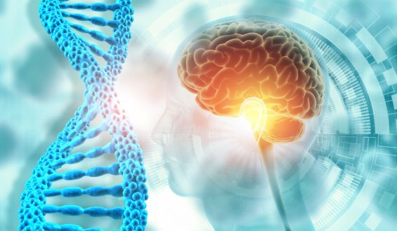 Understanding the Exceptional Memory of SuperAgers