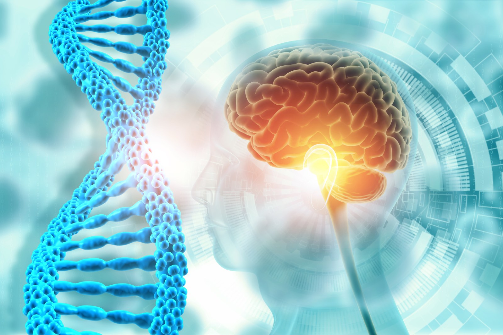 Understanding the Exceptional Memory of SuperAgers