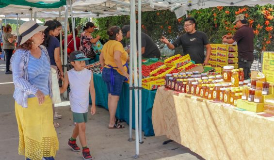 Challenges Amid Changes at Central Avenue Farmers Market