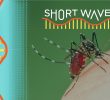 Climate Change Impact on Mosquito Populations