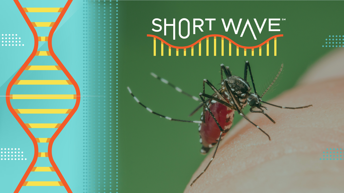 Climate Change Impact on Mosquito Populations