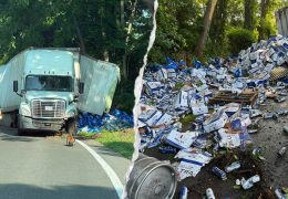 Tractor-Trailer Accident in Connecticut Spills Thousands of Beer Cans