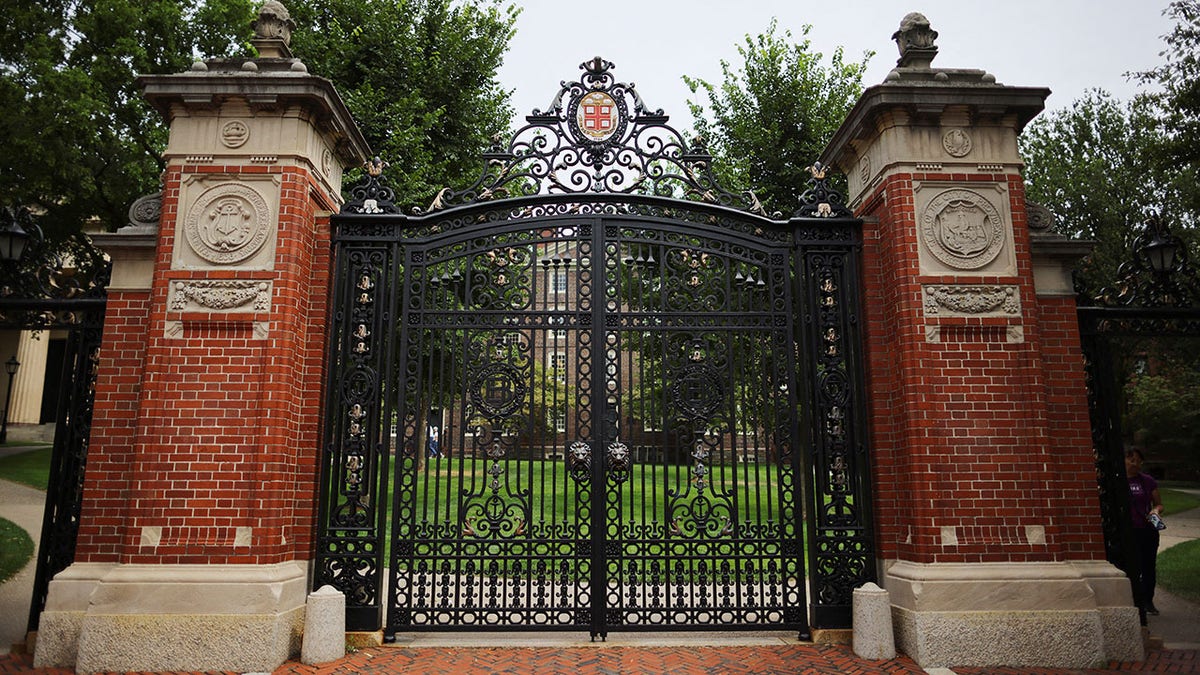 Professor Criticizes University Response to AI Cheating