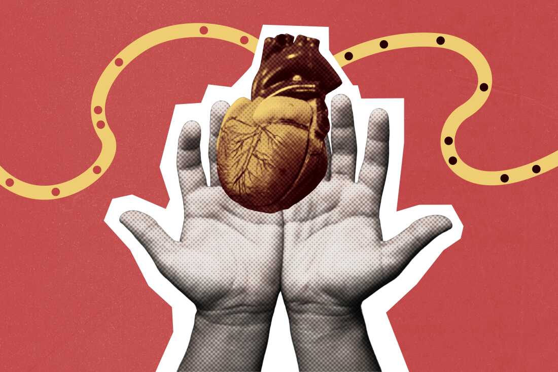 Debate Over ‘Death by Organ Donation’ Euthanasia Concept