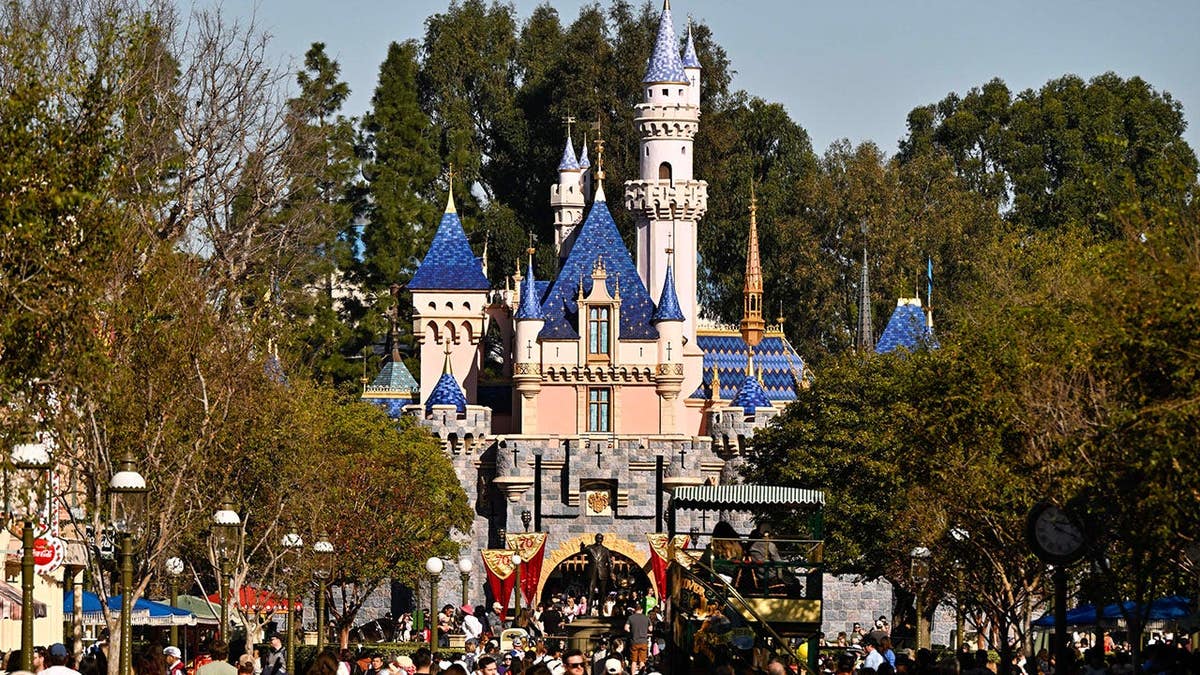 Water Outage Causes Disruptions at Disneyland