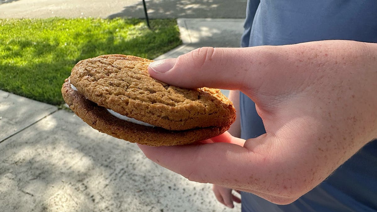 Little Debbie’s Oatmeal Creme Pie: A Lasting Legacy