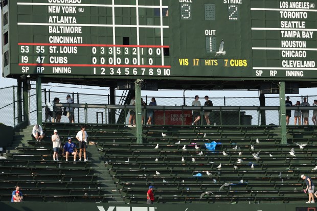 Cubs’ Pitching Struggles and Strategies