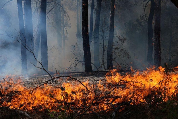 Wildfires Force Mass Evacuations in Western Europe