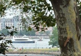Seaplane Makes Hard Landing in New York City’s East River