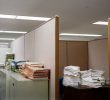 Why AI Won’t Bring a Four-Day Workweek Soon