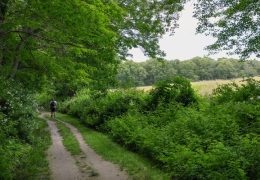 The Dual Histories of Slavery and Abolition in New England
