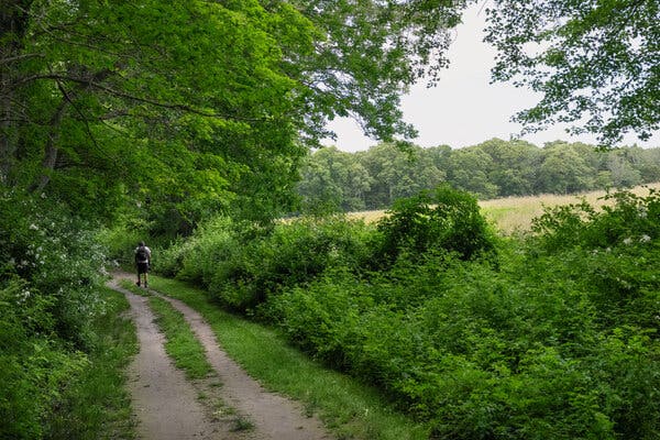 The Dual Histories of Slavery and Abolition in New England