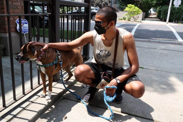 Impact of Poor Air Quality on Pets, Zoo Animals, and Beekeeping