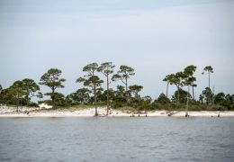 Changing Conditions at Mississippi’s Horn Island