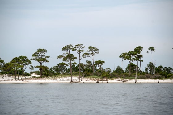 Changing Conditions at Mississippi’s Horn Island