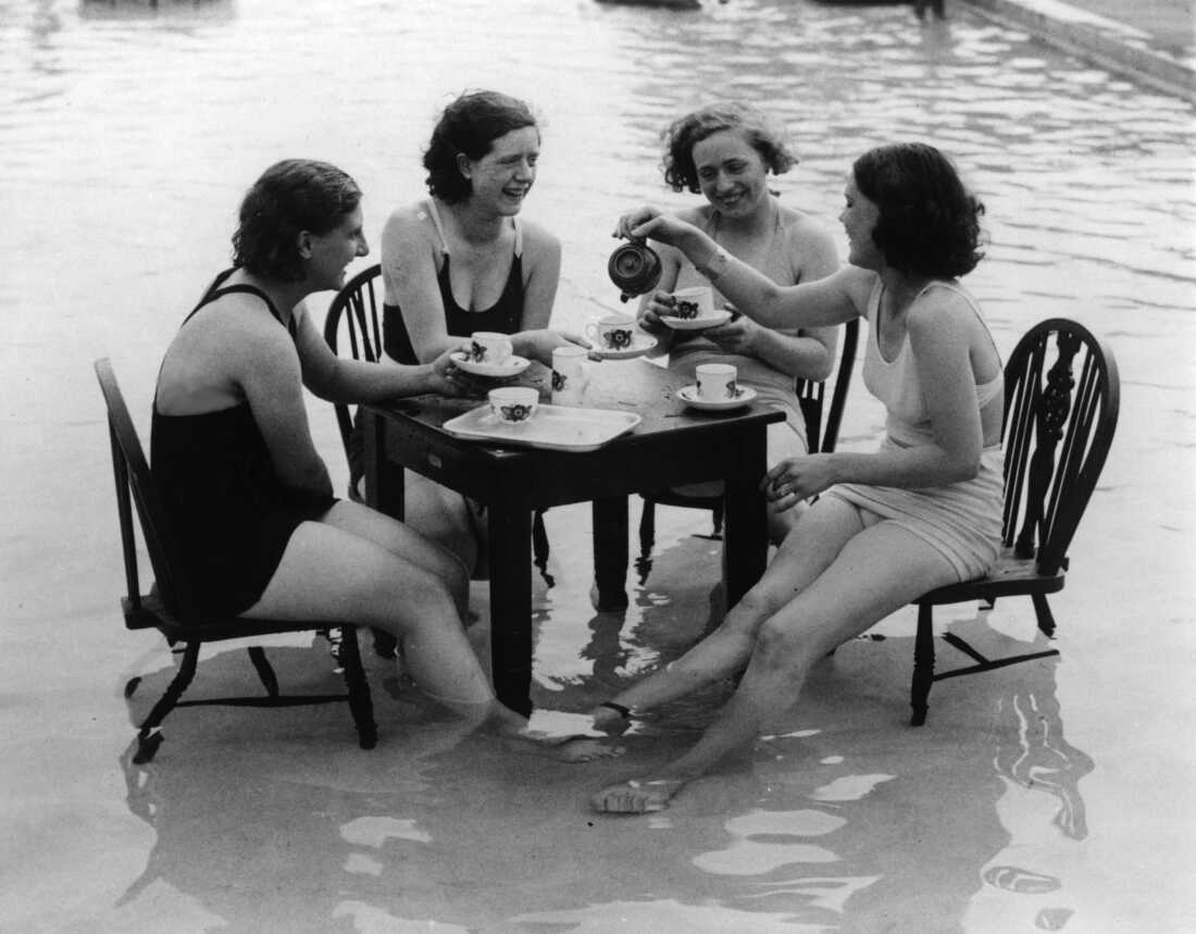 Exploring the Evolution and Impact of Gossip