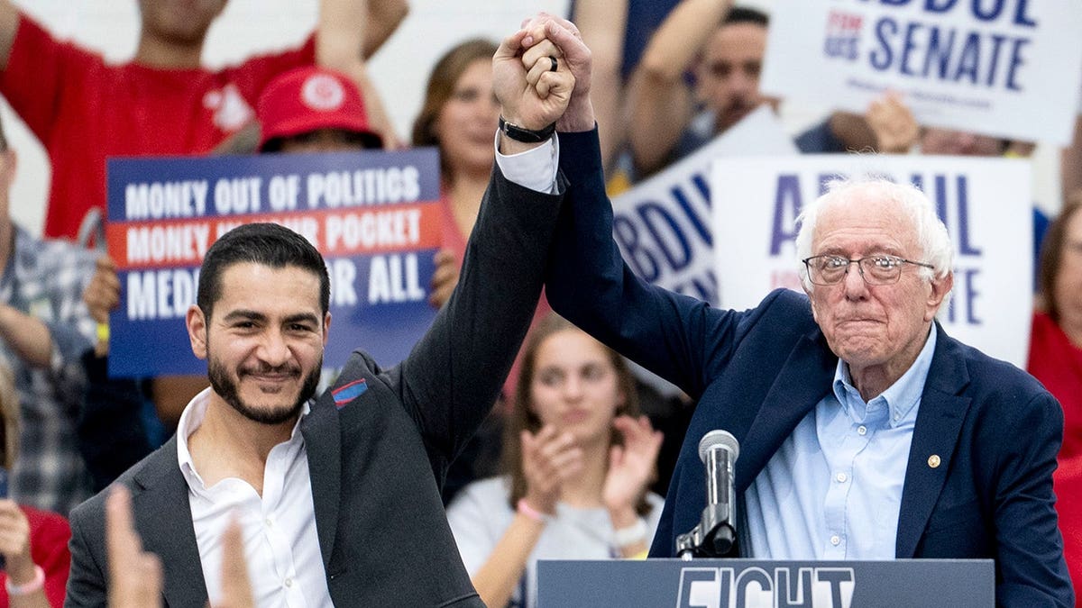 Michigan Senate Primary Highlights Ideological Divide Within Democratic Party