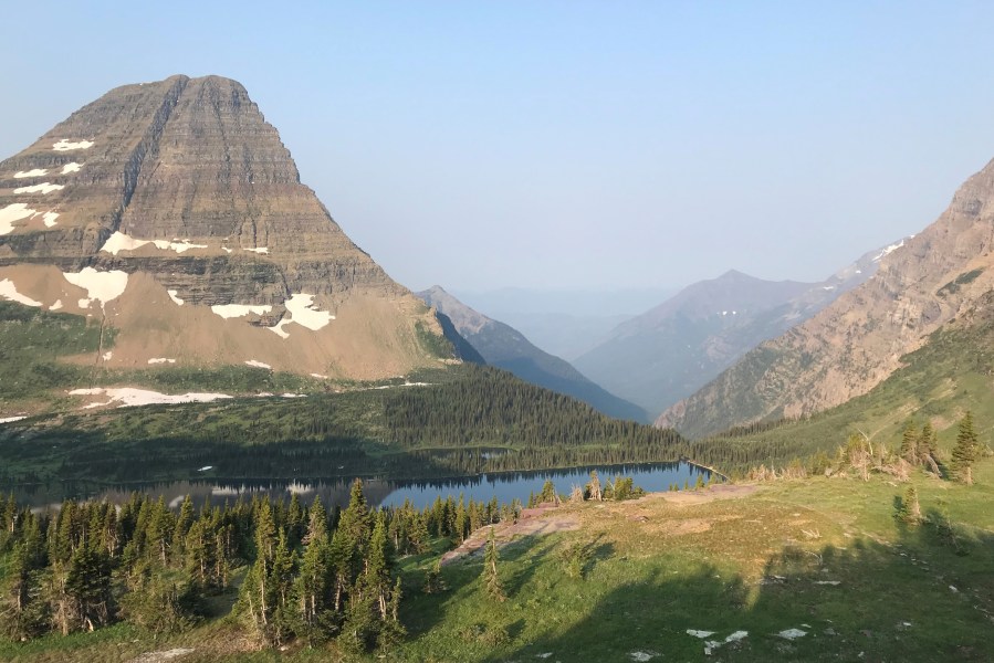 Florida Man’s Tragic Encounter with Grizzly Bear in Glacier National Park