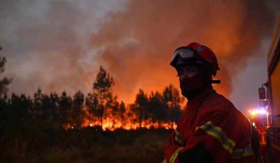 Mass Evacuations Amid Fierce Wildfires in France and Spain