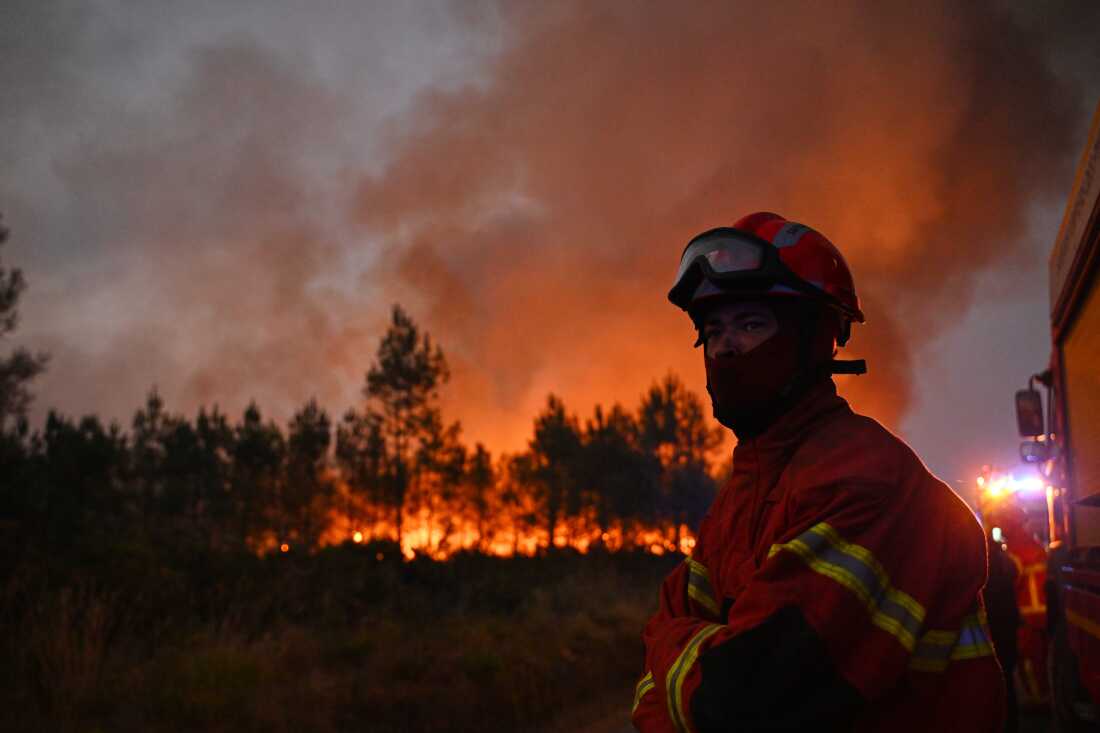 Mass Evacuations Amid Fierce Wildfires in France and Spain