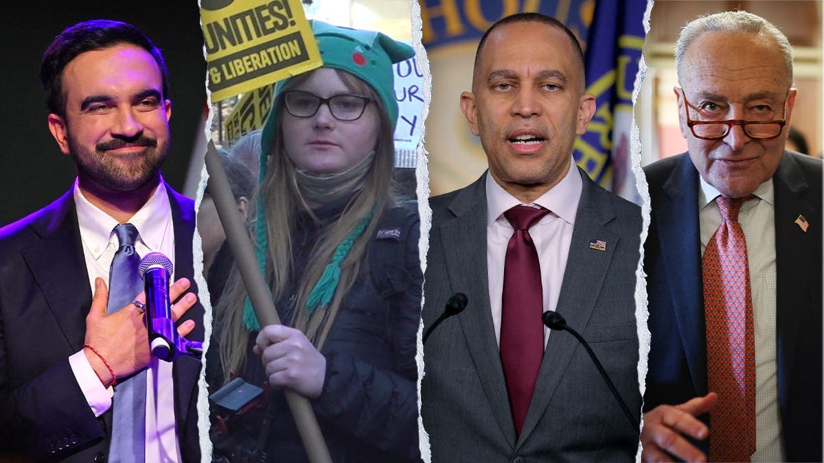 Democratic Party Faces Internal Struggle Over Socialist Influence