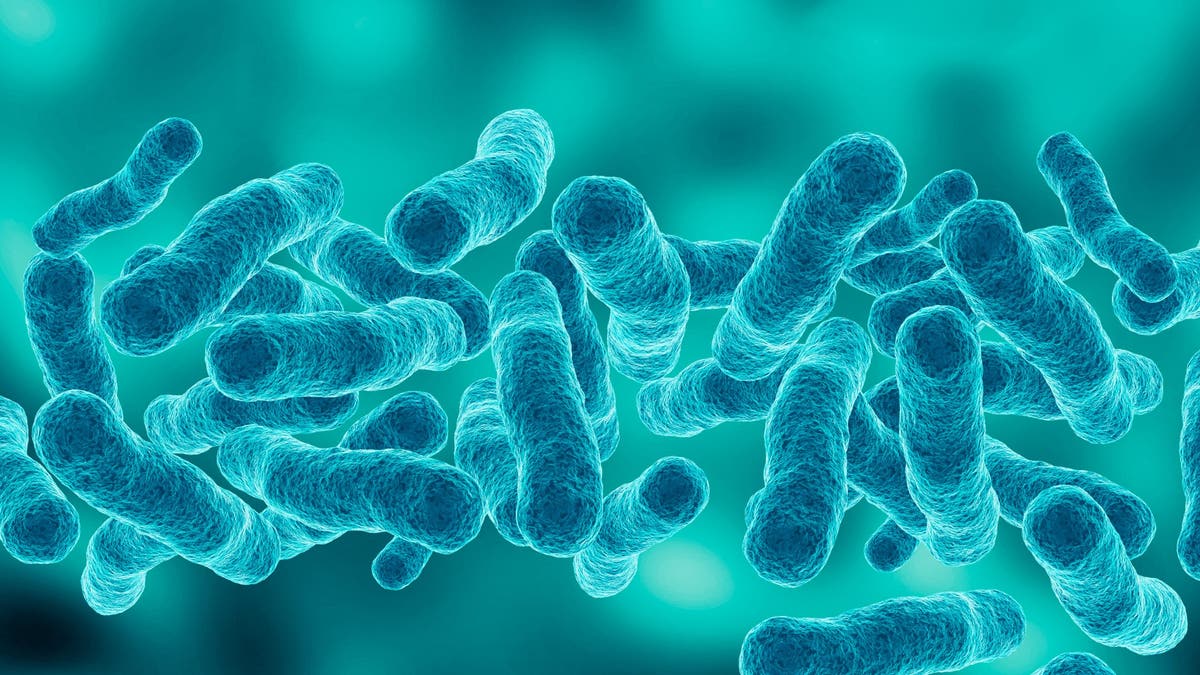 Legionnaires’ Disease Outbreak in New York City: Key Details and Safety Information