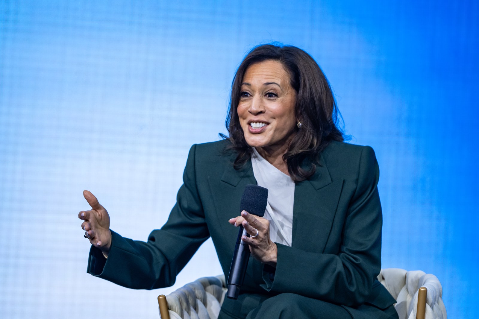 Potential Democratic Candidates Emerge for 2028 Presidential Race in Michigan
