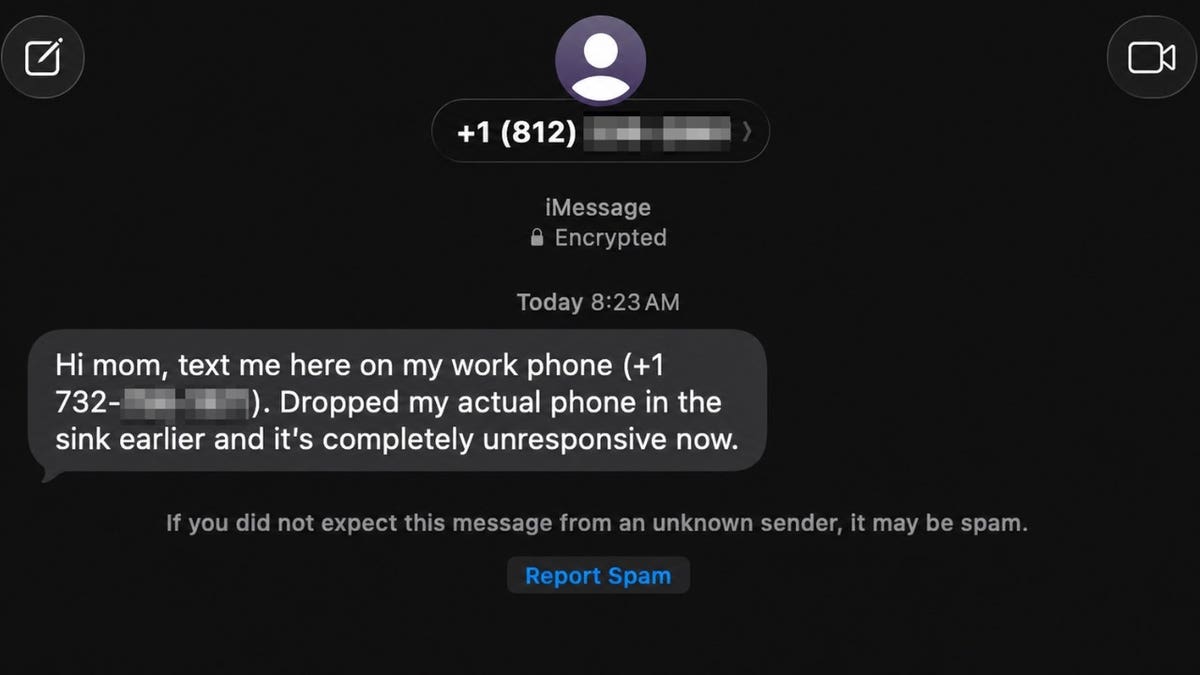 Recognizing and Avoiding ‘Hi Mom’ Scam Texts