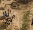 California Animal Rescue Site Uncovers Gruesome Discovery of Dogs
