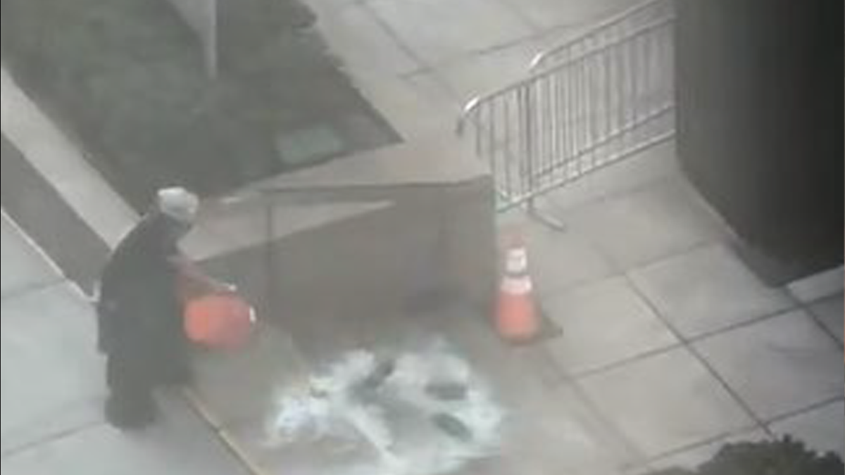 Fiery Surveillance Video Reveals Alleged Anti-ICE Arson Attack in NYC