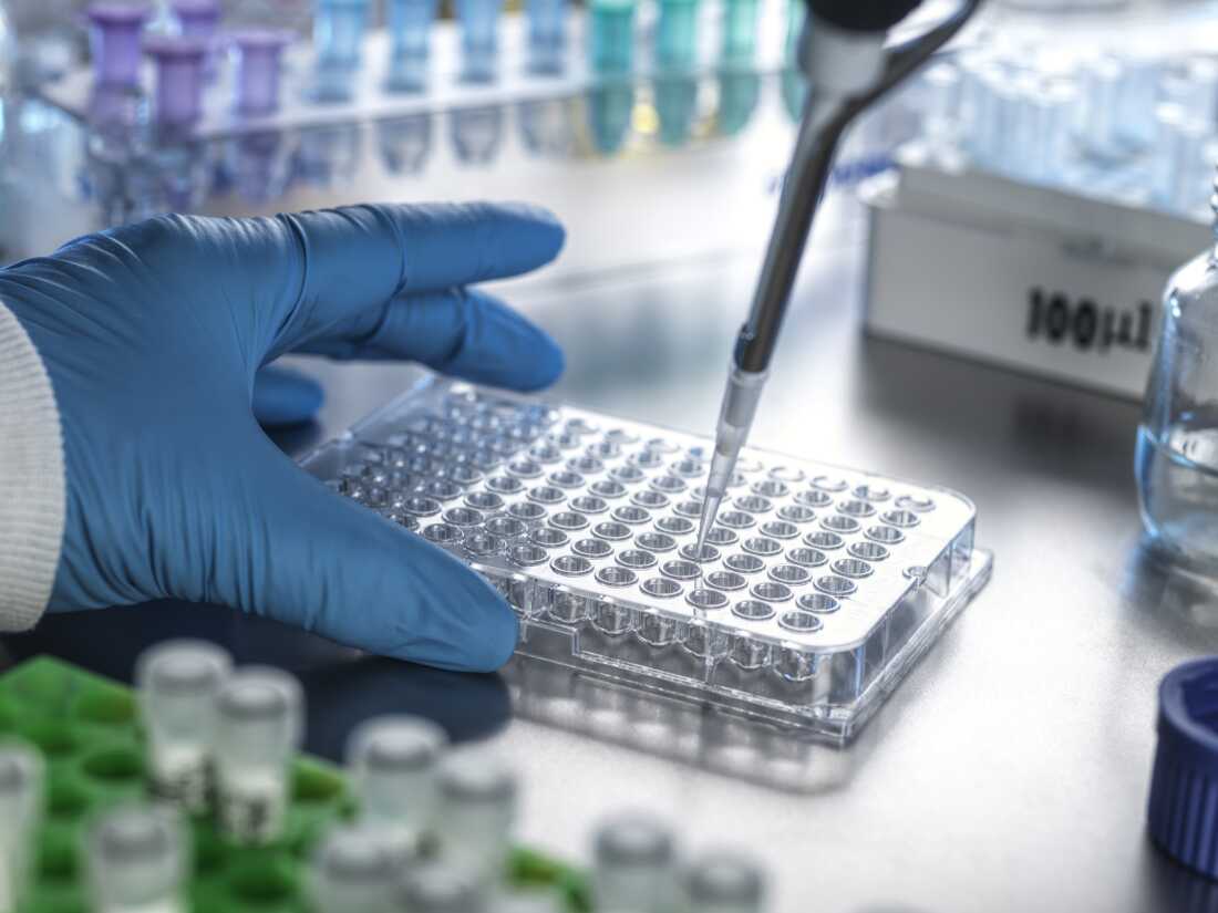 Impact of Funding Cuts on Cancer Disparities Research