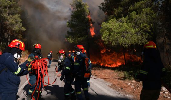 Greek Firefighters Battle Wildfires Amid European Heatwaves