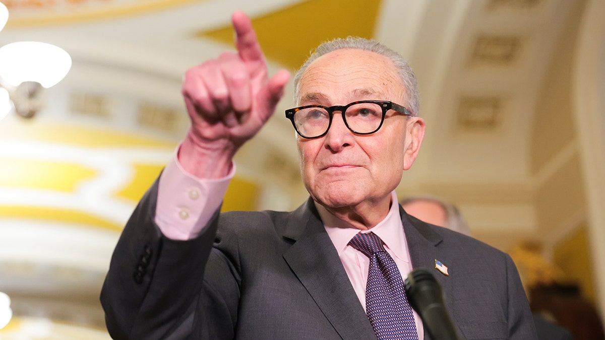 Senate Democrats Block Voter ID Amendment Amid Support History
