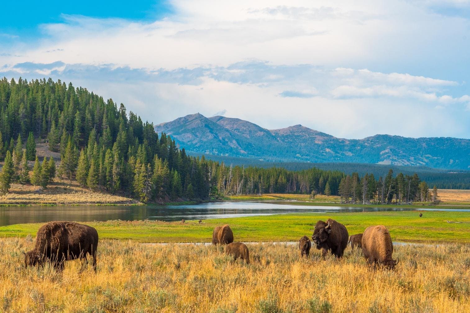 How to Avoid Common Mistakes in National Parks