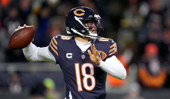 Chicago Bears: Offseason Moves and Future Prospects