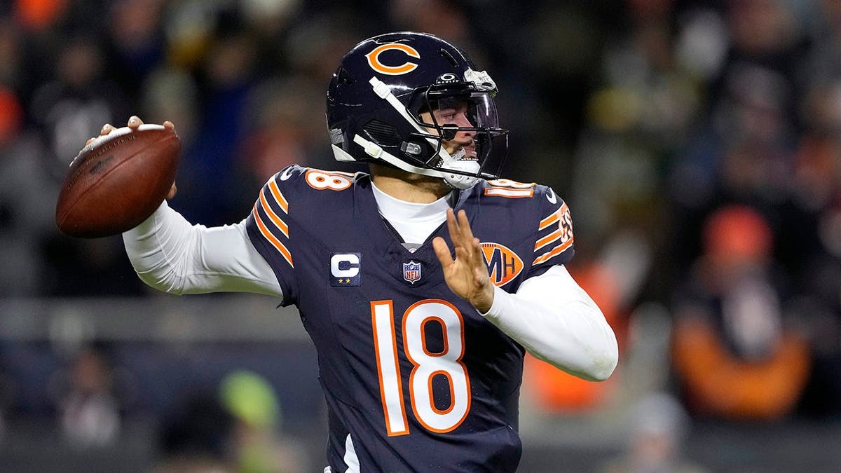 Chicago Bears: Offseason Moves and Future Prospects