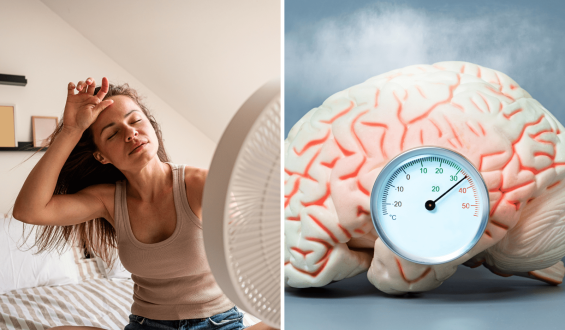 How Bedroom Air Quality Impacts Sleep and Health