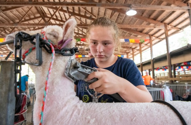 Lake County Fair Offers Excitement and Tradition