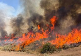 British Columbia Declares State of Emergency as Wildfires Force Evacuations