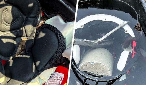 Arkansas Student Finds Venomous Snake in Football Helmet
