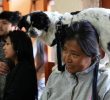 Corgi Race in Vilnius Gathers International Competitors
