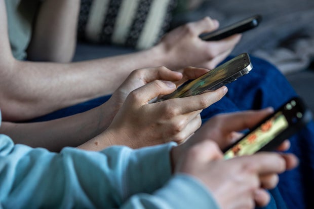 France Court Overturns Children’s Social Media Ban Proposal