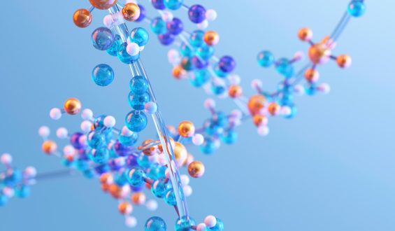 Arginine’s Role in Immunity and Disease Management