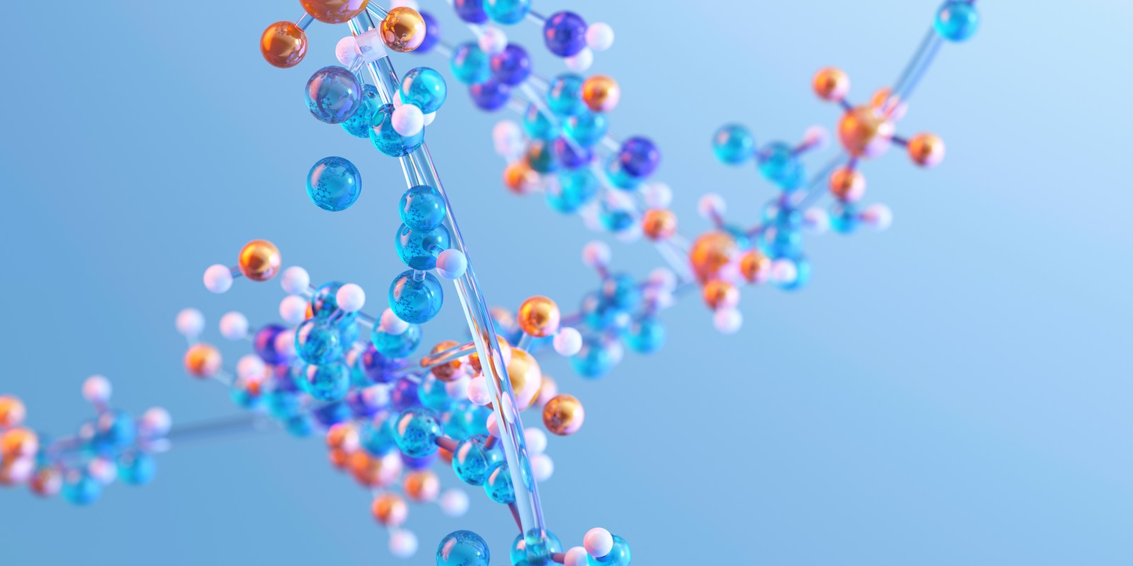 Arginine’s Role in Immunity and Disease Management